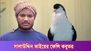 সালাউদ্দিন ভাইয়ের ফেন্সি কবুতর