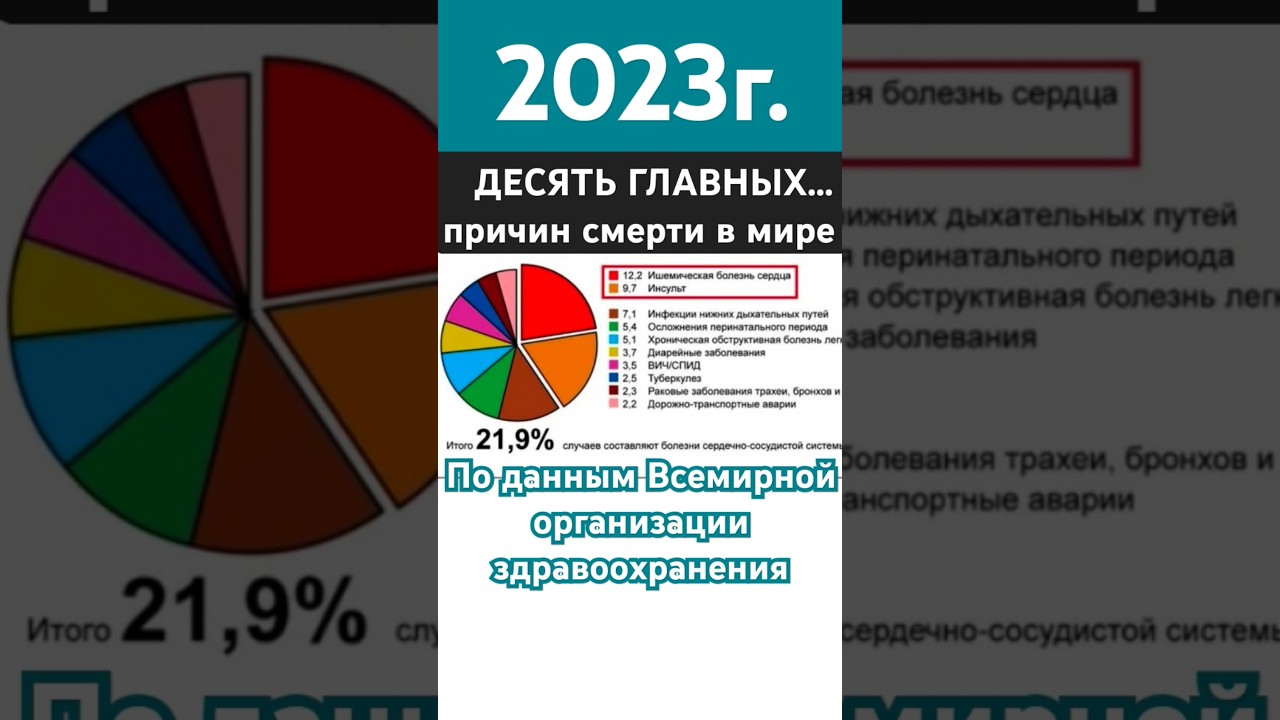Главные причины смертности в мире 2023г. #жизнь #смертность #выживание #смерть #причинысмерти