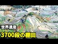 【中国秘境】3700段の棚田｜簡単に辿り着けない世界遺産