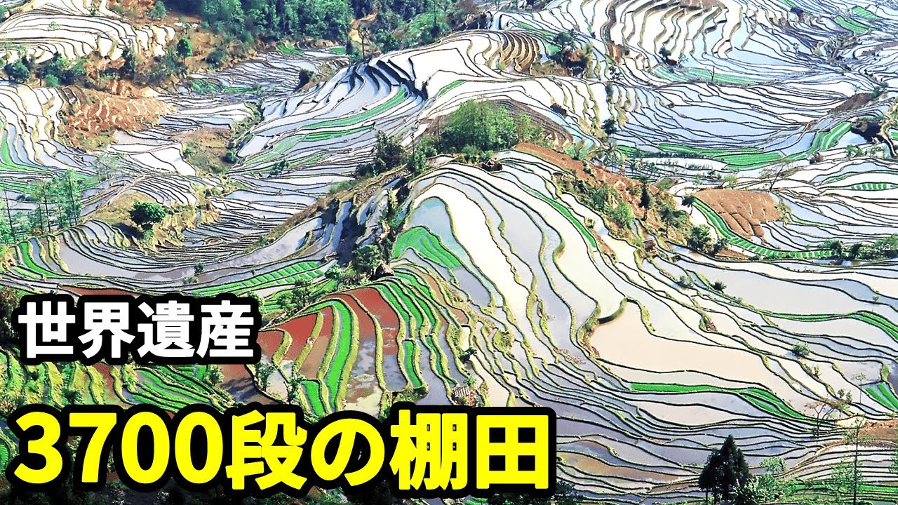 【中国秘境】3700段の棚田｜簡単に辿り着けない世界遺産