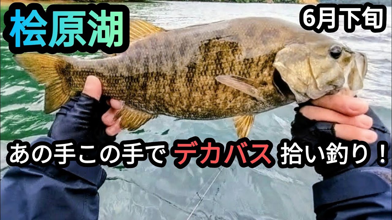 【桧原湖バス釣り】【6月下旬】あの手この手でデカバス拾い釣り！