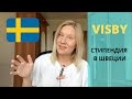 Стипендия VISBY в Швеции / Как учиться бесплатно в Швеции