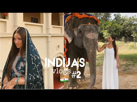 Video: 4 Luksusa vilciena ceļojumi pa Indiju tūlīt