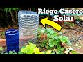WOW! Solo 2 Botellas Y aprende a como hacer un Riego por Goteo casero con técnica solar