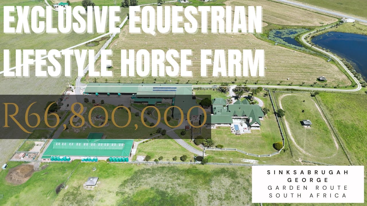 Exclusive Equestrian Lifestyle Horse Farm, Near George, Garden Route, South Africa.