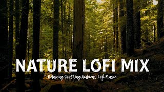 Nature Lofi Mix [chill lo-fi hip hop beats]