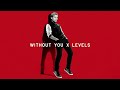Avicii David Guetta Without You X Levels Enseven Mashup Avicii David Guetta Without You X Levels Enseven Mashup