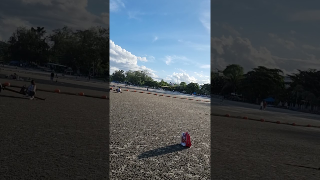 Free flight Sun Conure and Crimson Bellied Conure