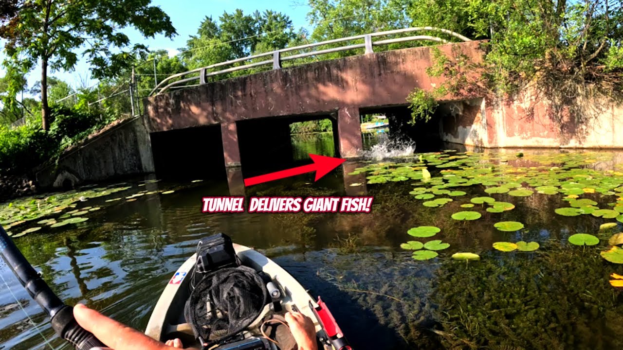 Catching Multiple BIG BASS in Skinny Water!! – (NEW LAKE)