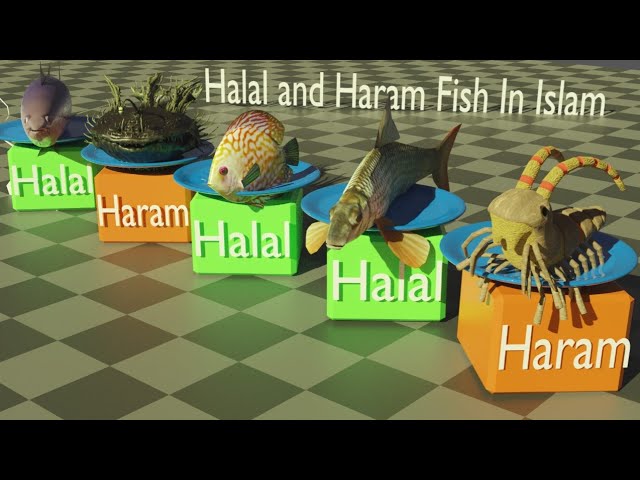 Halal and Haram Fish in Islam 