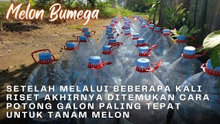 HOW TO CUT A GALLON FOR BUMEGA MELON