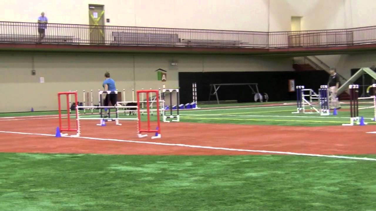 Psi Steeplechase Round 2 NC Regional YouTube