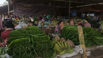 9/12/2025 Coj Nej Saib.Taj Laj Zos Npab Pub Os Cov Me Phooj Ywg Aw 