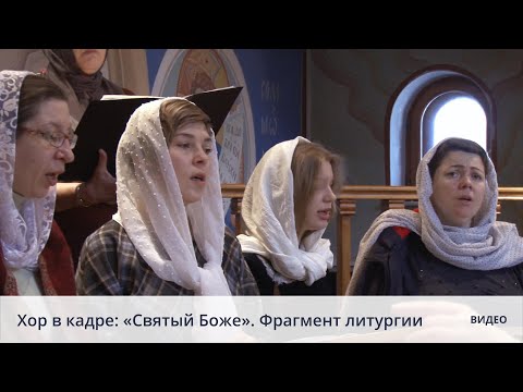 Хор в кадре: «Святый Боже». Фрагмент литургии