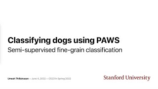 Classifying dogs using PAWS - Semi-supervised fine-grain classification