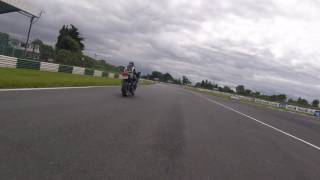 Vector Quickshifter