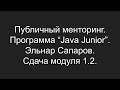 Публичный менторинг. Эльнар Сапаров. Сдача модуля 1.2