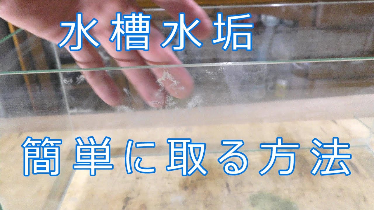 頑固な水垢を簡単にとる方法 Youtube