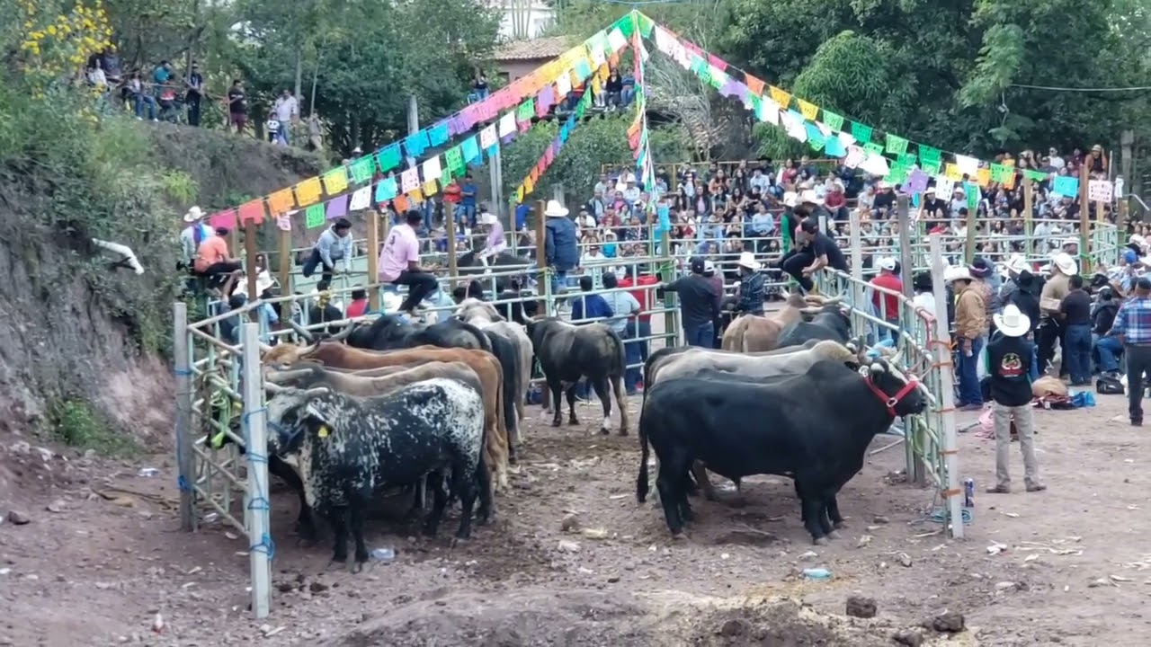 Banda SILASOL amenizando en el jaripeo  en san Martín del estado.