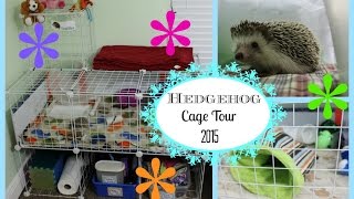 C&C Hedgehog Cage Tour | Jan 2015