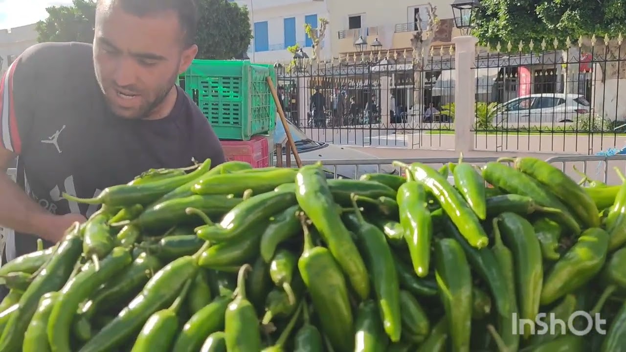 اليوم نهار السلايف 🤣 دورة خفيفة فالفريب و مشية للحمام رجعتنا لايمات قبل😍هزيتكم معايا لوين ما نخدم