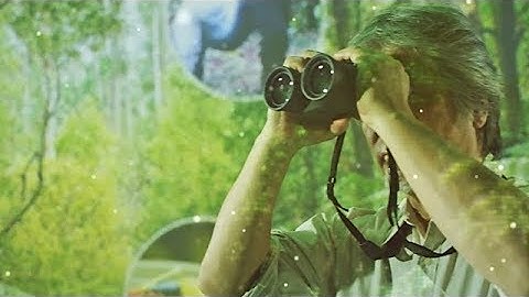 Kyoto University — a World-Leading Jungle of Knowledge