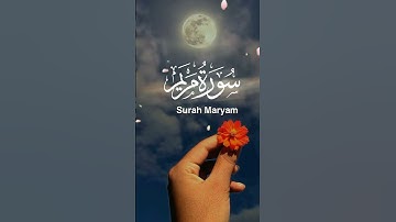سورة مريم - أرح سمعك - قرآن كريم - حالات واتس - بصوت جميل ♥️
