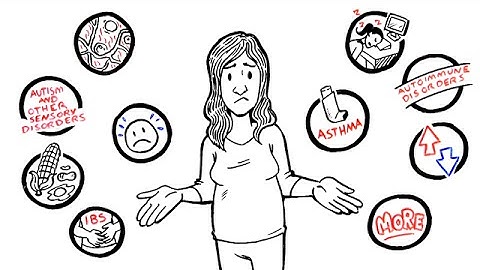 What is the GAPS Diet?