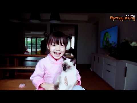 ฮาหลินอวยพรวันเกิดให้เชียนซีเกอเก่อ