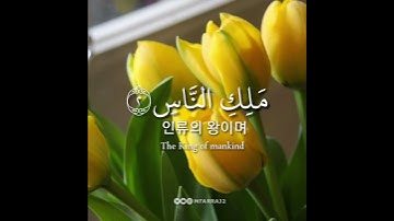 سورة الناس(ماهر المعيقلي) حالات واتس اب دينية 🌿💕