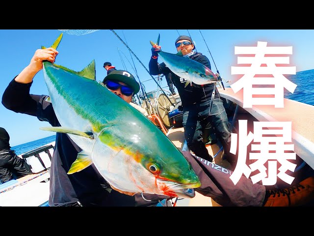 春爆！日本海丹後エリアのブリジギング - YouTube