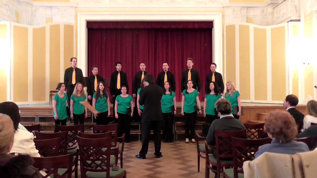 Daróci Bárdos Tamás: Muzsikus-dal