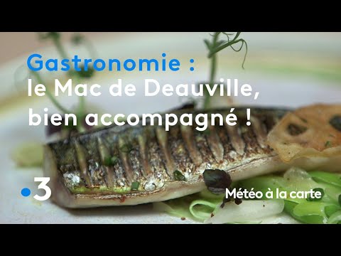 Gastronomie Le Maquereau Un Plaisir à Petit Prix Météo