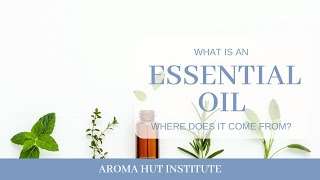What Is an Essential Oil? How do essential oils work?