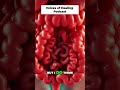 Are Parasites Fueling Your Late-Night Sugar Cravings?