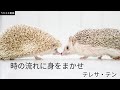 時の流れに身をまかせ/テレサ・テン【うたスキ動画】