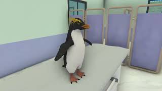 Animal shelter game environment