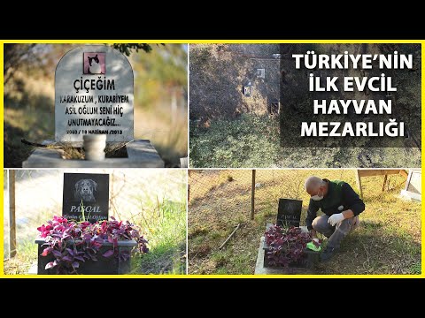 Evcil Hayvan Mezarlığında Duygulandıran Yazılar