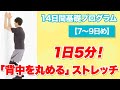 【1日5分】 『全人類、 背中を丸めるだけでいい』《7〜9日め》14日間基礎プログラム