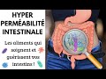 Hyperpermabilit intestinale  comment restaurer la barrire intestinale par lalimentation 