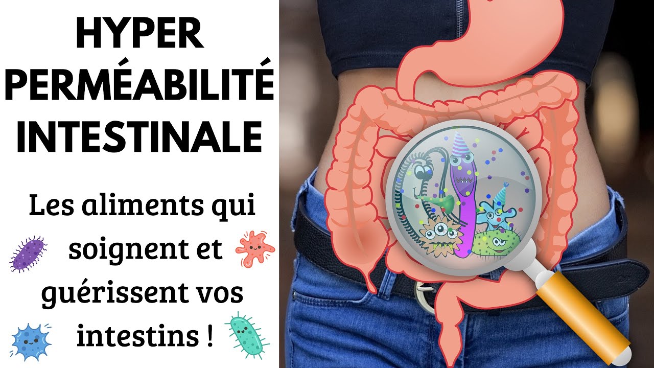Hyperperméabilité intestinale : comment restaurer la barrière intestinale par l’alimentation ?