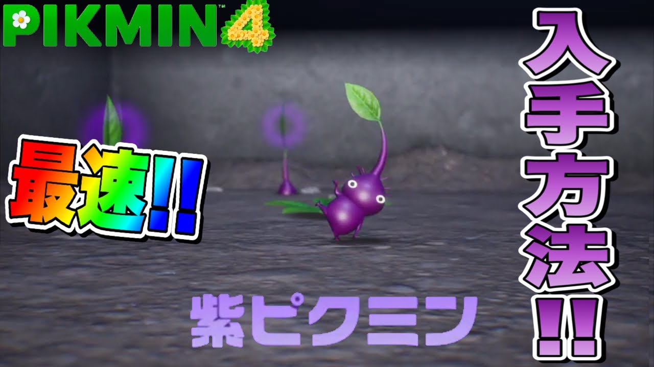 ピクミン4】最速!!紫ピクミン入手方法!! - YouTube