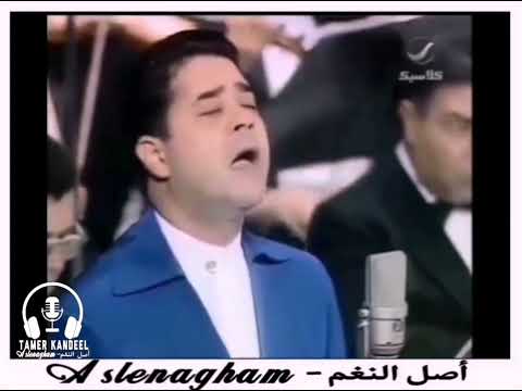 تلات سلامات مدحت صالح