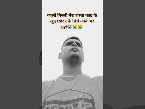 Wgitachi Swimming 2025