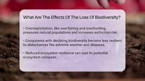 What Are The Effects Of The Loss Of Biodiversity? - Ecosystem Essentials