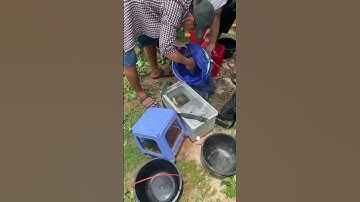 #Shorts Báo cá năm 2024 clip 34 - Hồ Câu Vườn Dừa ấp Ngã Tư, xã Nhuận Đức, huyện Củ Chi, TP HCM