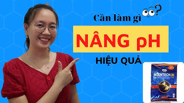 Cách tăng giảm pH trong ao tôm hiệu quả | Nguyễn Minh Quốc #21