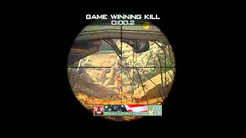 Binary Ninja - MW3 Game Clip