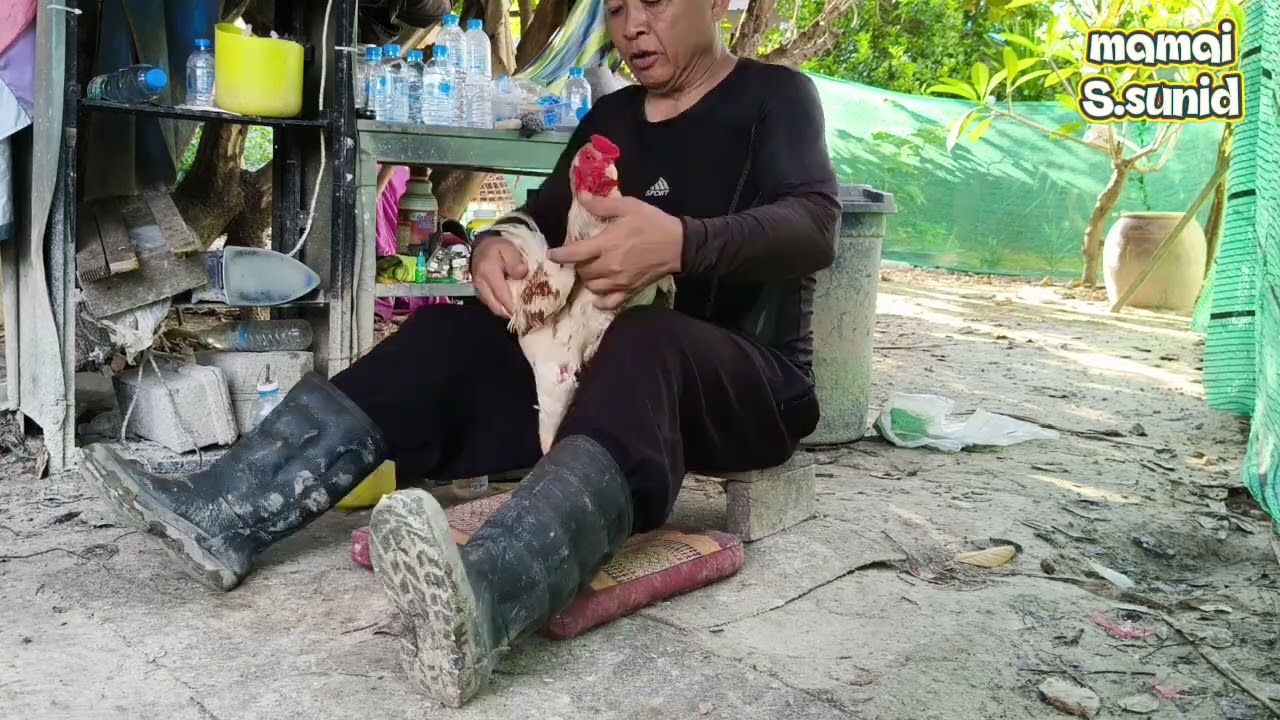 ออกกำลังกายนักกีฬา