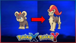 How to Evolve Litleo into Pyroar in Pokemon X and Y